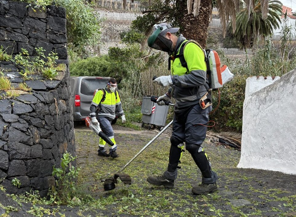Zafarranchos de limpieza