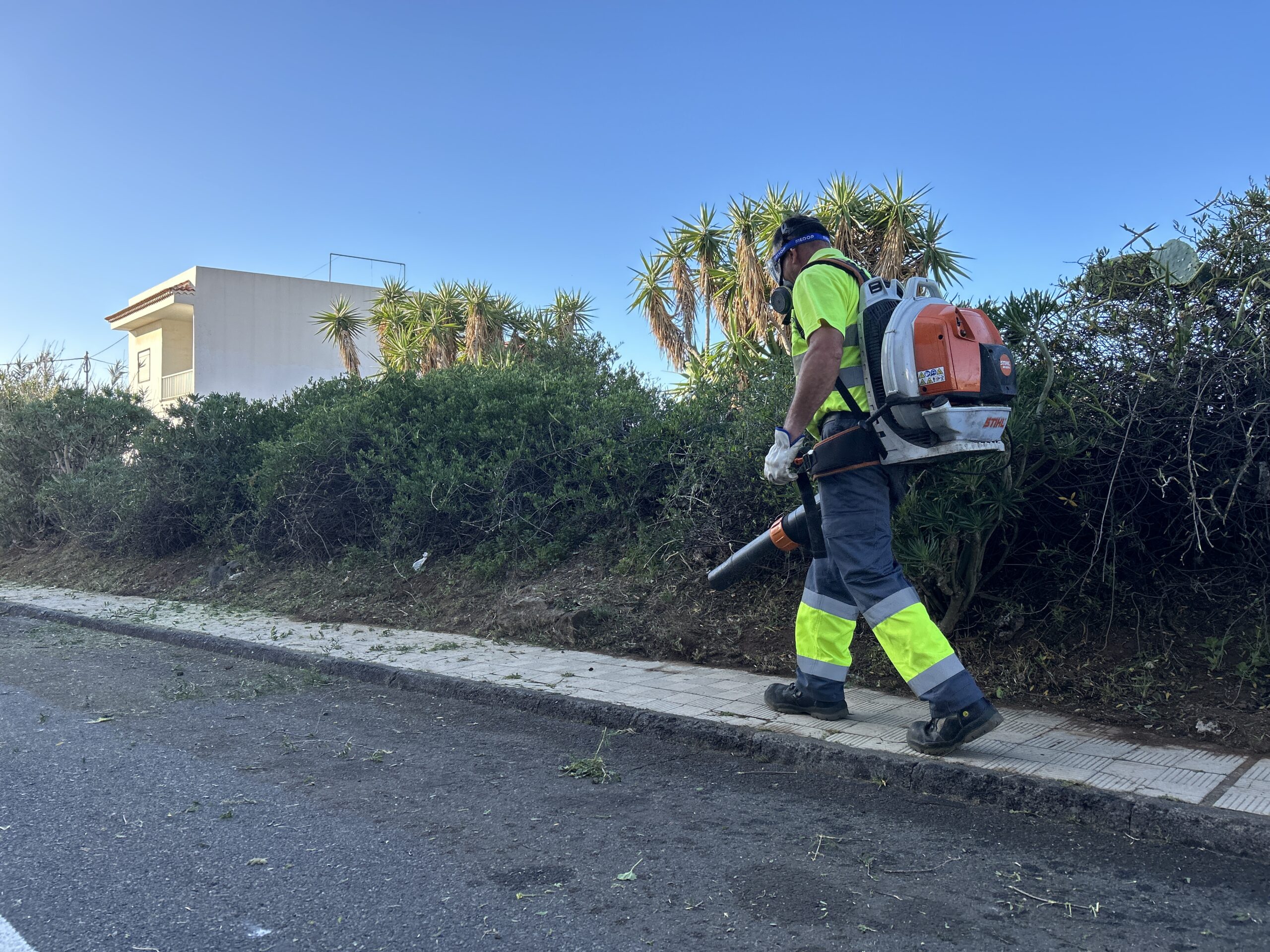 Zafarranchos de limpieza
