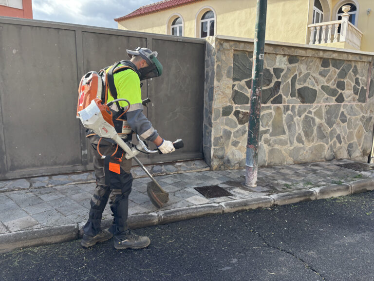 Zafarranchos de limpieza